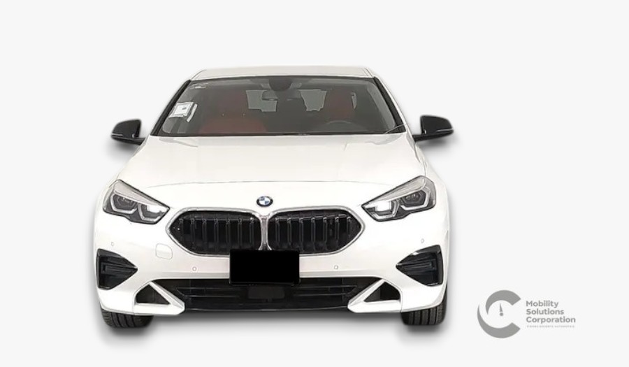 Auto 1